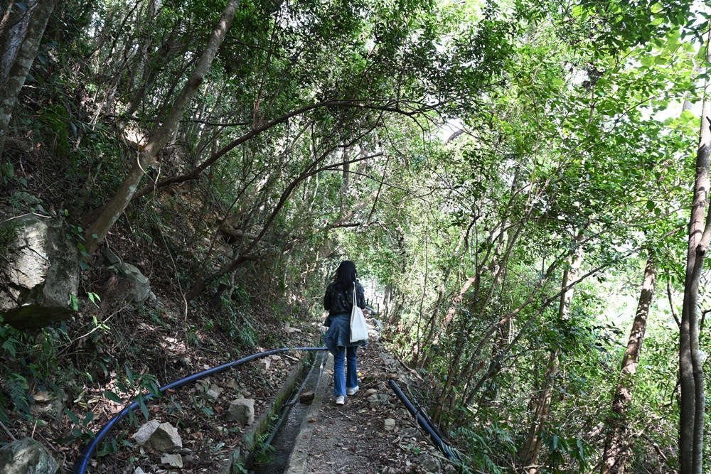 南投一日遊。雙龍七彩吊橋、雙龍瀑布、雙龍瀑布水圳步道! 南投一日遊。雙龍七彩吊橋、雙龍瀑布、雙龍瀑布水圳步道!