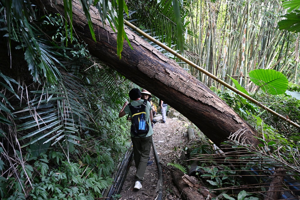 南投一日遊。雙龍七彩吊橋、雙龍瀑布、雙龍瀑布水圳步道! 南投一日遊。雙龍七彩吊橋、雙龍瀑布、雙龍瀑布水圳步道!