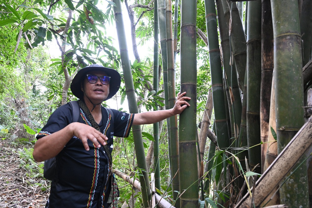 南投一日遊。雙龍七彩吊橋、雙龍瀑布、雙龍瀑布水圳步道! 南投一日遊。雙龍七彩吊橋、雙龍瀑布、雙龍瀑布水圳步道!