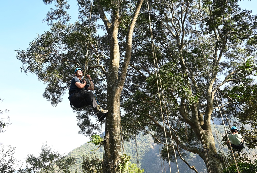南投一日遊。丹大布農部落 丹大布農文化生態探索部落 雙龍瀑布七彩吊橋、攀樹初體驗、DIY馬告香氛香水! 南投一日遊。丹大布農部落 丹大布農文化生態探索部落 雙龍瀑布七彩吊橋、攀樹初體驗、DIY馬告香氛香水!