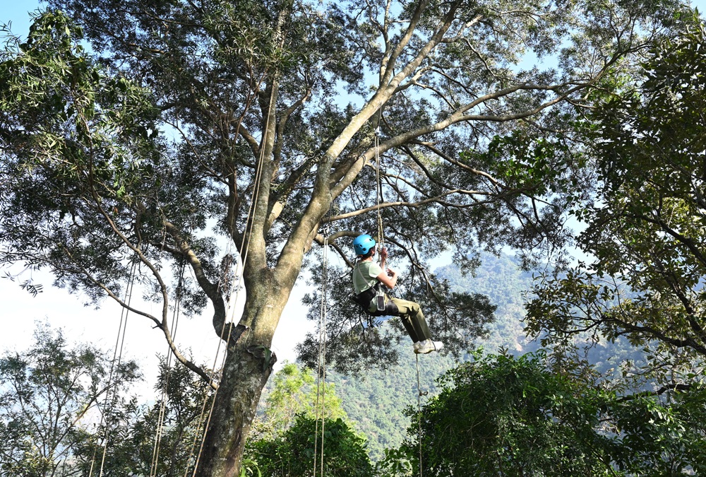 南投一日遊。丹大布農部落 丹大布農文化生態探索部落 雙龍瀑布七彩吊橋、攀樹初體驗、DIY馬告香氛香水! 南投一日遊。丹大布農部落 丹大布農文化生態探索部落 雙龍瀑布七彩吊橋、攀樹初體驗、DIY馬告香氛香水!