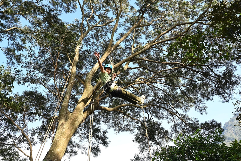 南投一日遊。丹大布農部落 丹大布農文化生態探索部落 雙龍瀑布七彩吊橋、攀樹初體驗、DIY馬告香氛香水! 南投一日遊。丹大布農部落 丹大布農文化生態探索部落 雙龍瀑布七彩吊橋、攀樹初體驗、DIY馬告香氛香水!