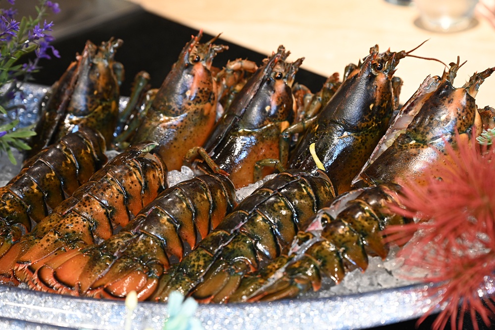 Google 評論平均4.8高分！明水然 高雄大立店 原味創意無菜單鐵板燒！高雄聚餐推薦、慶生首選！