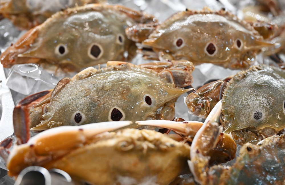 台南火鍋吃到飽推薦。饗宴麻辣火鍋 在地經營邁入第20年、每日採買現撈魚貨海鮮、現點現切！