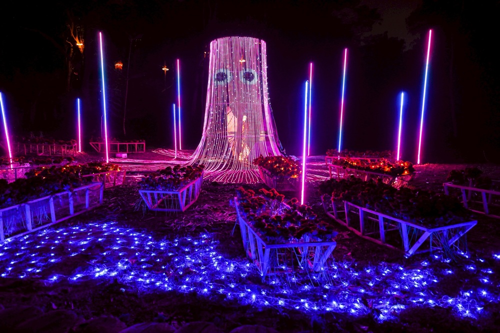 2026空山祭。台南龍崎光節 虎形山公園12/25登場！門票、交通接駁