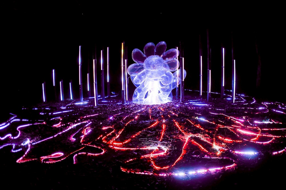 2026空山祭。台南龍崎光節 虎形山公園12/25登場！門票、交通接駁