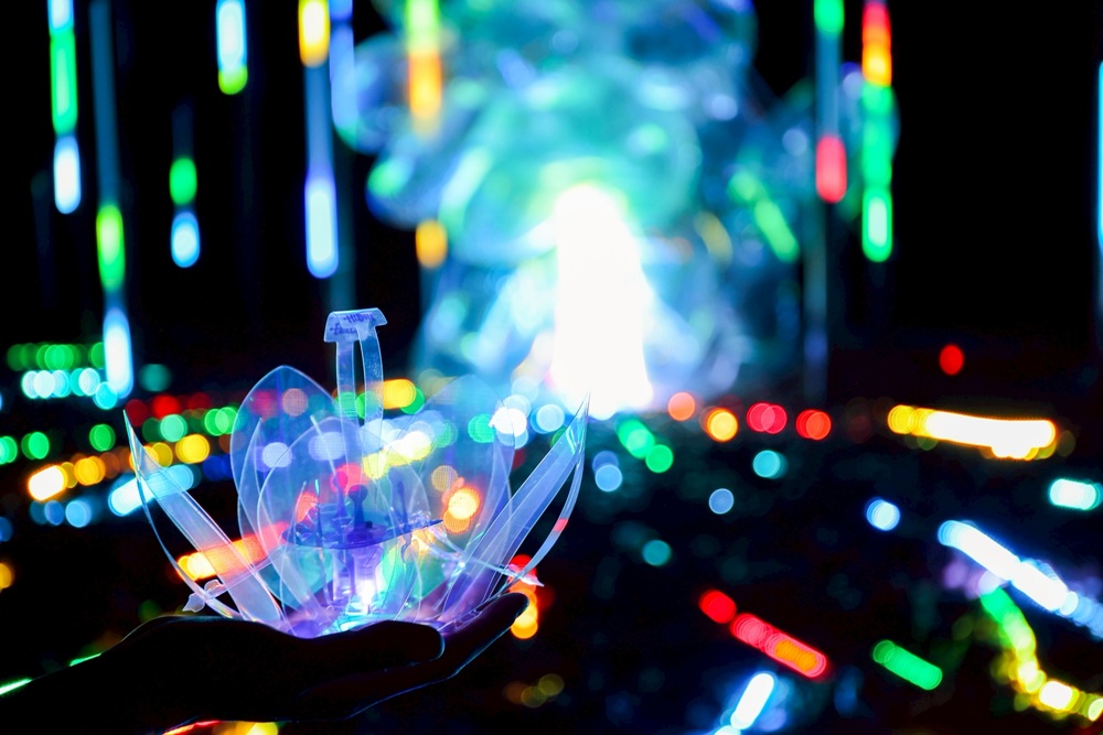 2026空山祭。台南龍崎光節 虎形山公園12/25登場！門票、交通接駁