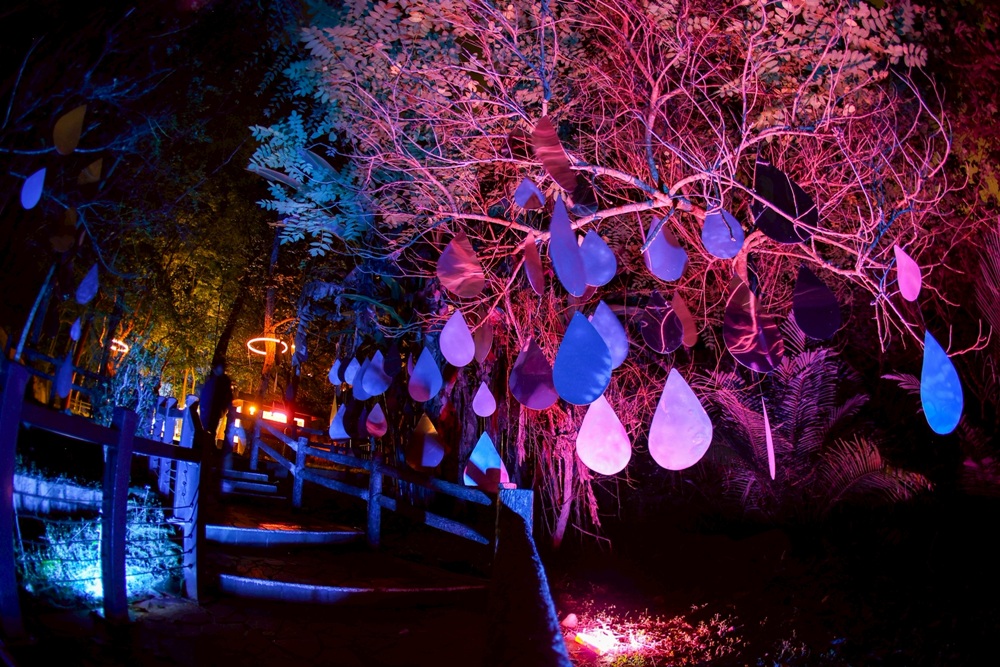 2026空山祭。台南龍崎光節 虎形山公園12/25登場！門票、交通接駁