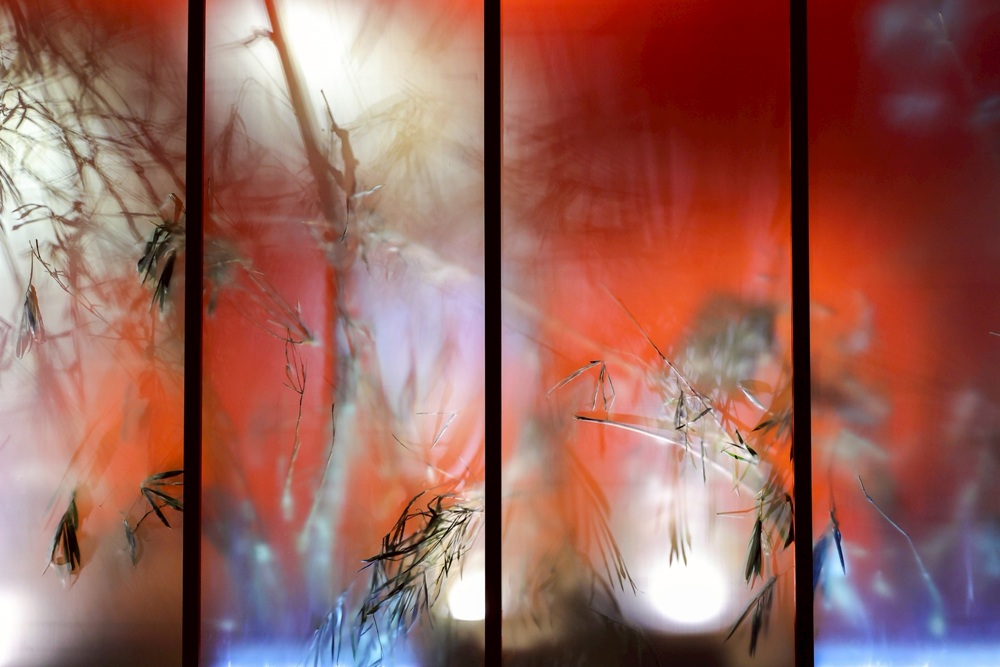 2026空山祭。台南龍崎光節 虎形山公園12/25登場！門票、交通接駁