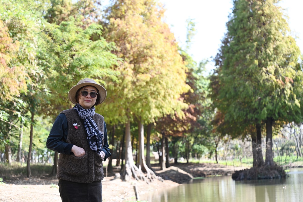 嘉義太保落羽松秘境。魚寮遺址落羽松、忘憂森林拍照景點！