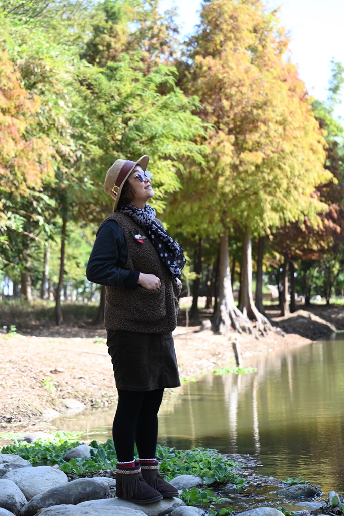 嘉義太保落羽松秘境。魚寮遺址落羽松、忘憂森林拍照景點！