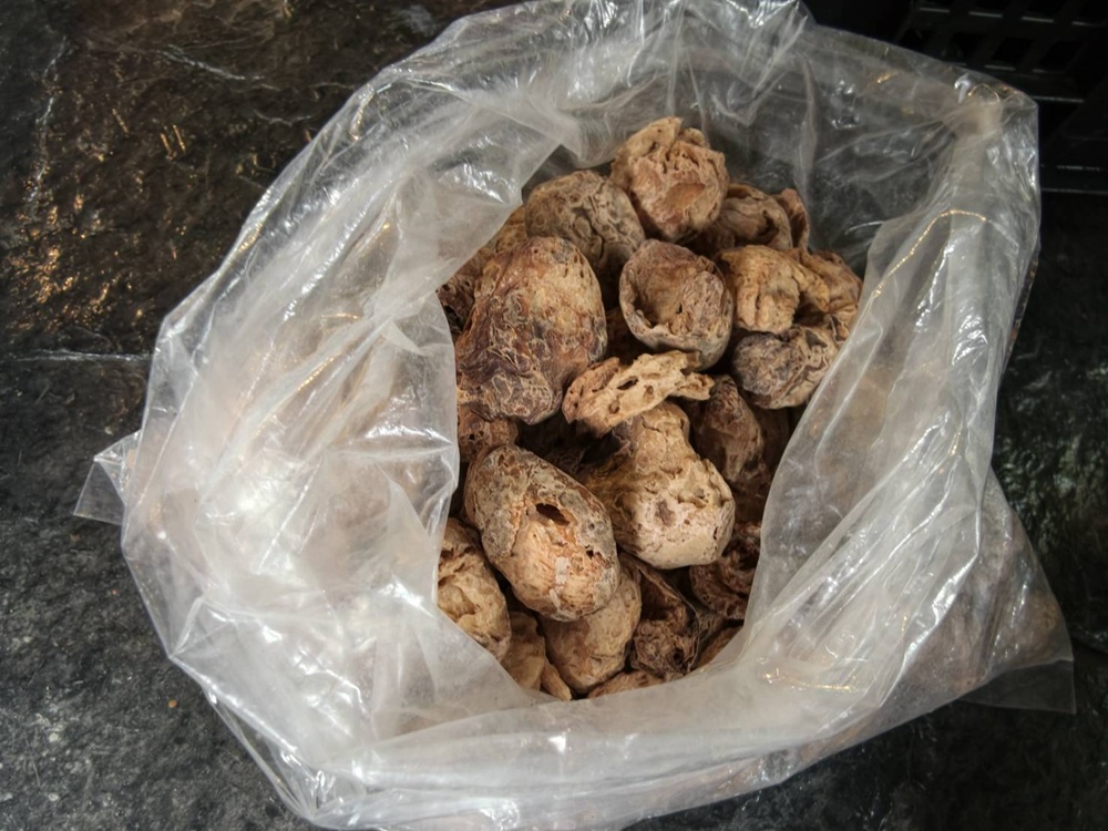 屏東咖啡二日遊|屏東咖啡 × 大武山森活 食農教育與山林文化的深度體驗之旅! 屏東咖啡二日遊|屏東咖啡 × 大武山森活 食農教育與山林文化的深度體驗之旅!