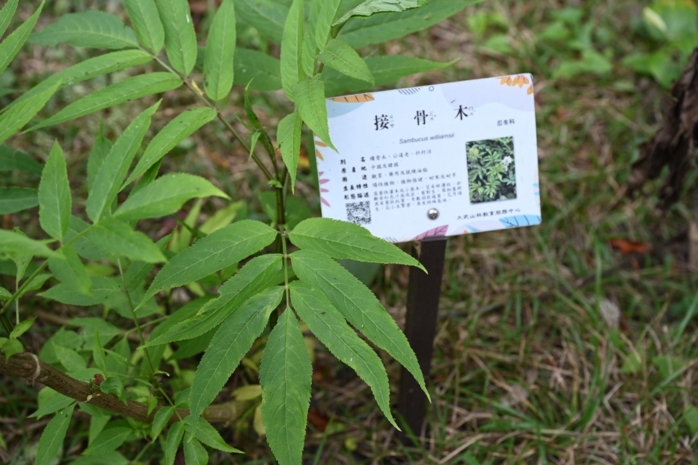屏東咖啡二日遊|屏東咖啡 × 大武山森活 食農教育與山林文化的深度體驗之旅! 屏東咖啡二日遊|屏東咖啡 × 大武山森活 食農教育與山林文化的深度體驗之旅!