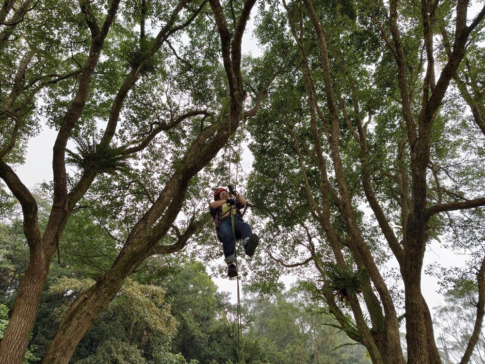屏東咖啡二日遊|屏東咖啡 × 大武山森活 食農教育與山林文化的深度體驗之旅! 屏東咖啡二日遊|屏東咖啡 × 大武山森活 食農教育與山林文化的深度體驗之旅!