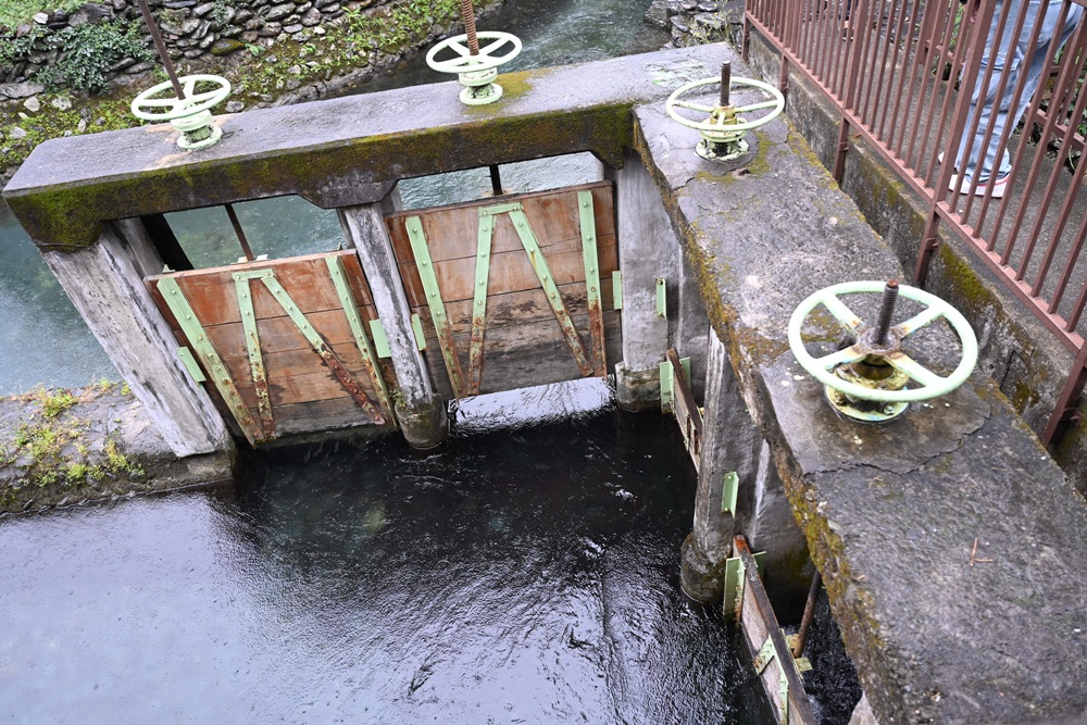 屏東咖啡二日遊|屏東咖啡 × 大武山森活 食農教育與山林文化的深度體驗之旅! 屏東咖啡二日遊|屏東咖啡 × 大武山森活 食農教育與山林文化的深度體驗之旅!