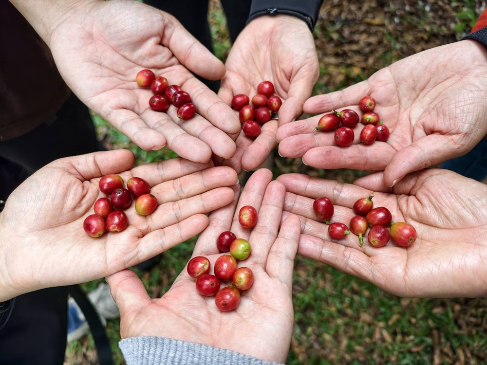 屏東咖啡二日遊|屏東咖啡 × 大武山森活 食農教育與山林文化的深度體驗之旅! 屏東咖啡二日遊|屏東咖啡 × 大武山森活 食農教育與山林文化的深度體驗之旅!