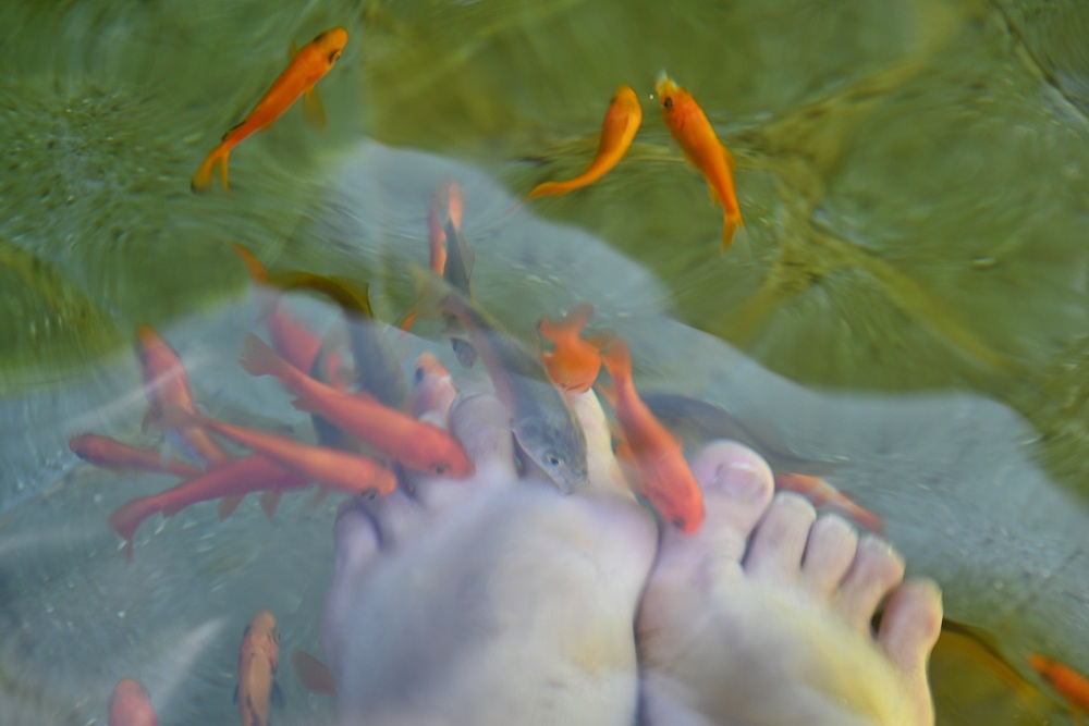 四重溪溫泉住宿推薦。茴香戀戀溫泉會館 巴里島異國風情×小希臘茴香花園Villa度假體驗! 四重溪溫泉住宿推薦。茴香戀戀溫泉會館 巴里島異國風情×小希臘茴香花園Villa度假體驗!