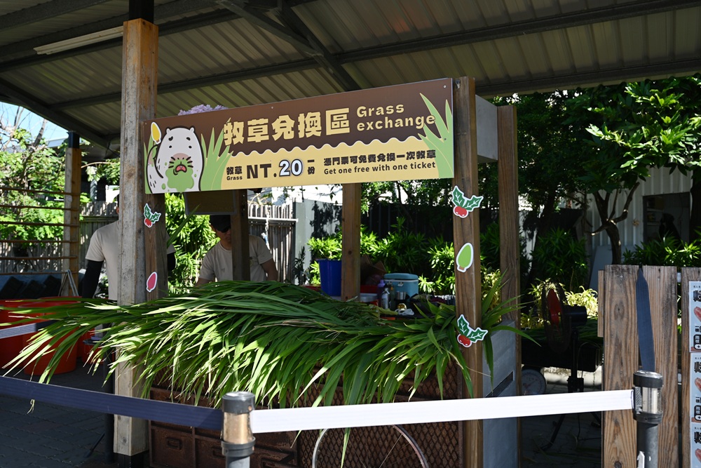 墾丁景點推薦。鹿ㄦ島水豚生態園區 日本雷門(豚門)、和水豚君一起游泳、2026門票資訊! 墾丁景點推薦。鹿ㄦ島水豚生態園區 日本雷門(豚門)、和水豚君一起游泳、2026門票資訊!