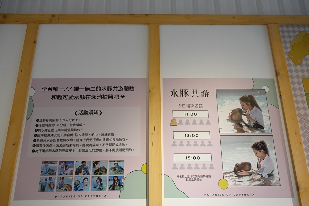 墾丁景點推薦。鹿ㄦ島水豚生態園區 日本雷門(豚門)、和水豚君一起游泳、2026門票資訊! 墾丁景點推薦。鹿ㄦ島水豚生態園區 日本雷門(豚門)、和水豚君一起游泳、2026門票資訊!