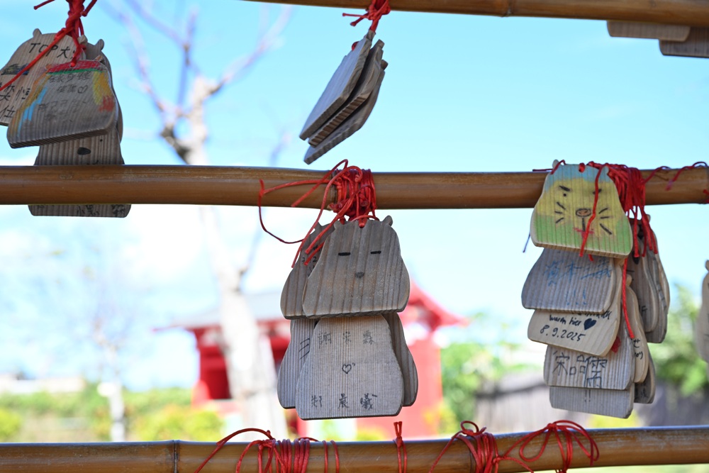 墾丁景點推薦。鹿ㄦ島水豚生態園區 日本雷門(豚門)、和水豚君一起游泳、2026門票資訊! 墾丁景點推薦。鹿ㄦ島水豚生態園區 日本雷門(豚門)、和水豚君一起游泳、2026門票資訊!