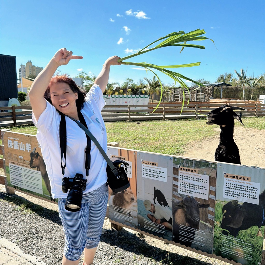 墾丁景點推薦。鹿ㄦ島水豚生態園區 日本雷門(豚門)、和水豚君一起游泳、2026門票資訊! 墾丁景點推薦。鹿ㄦ島水豚生態園區 日本雷門(豚門)、和水豚君一起游泳、2026門票資訊!