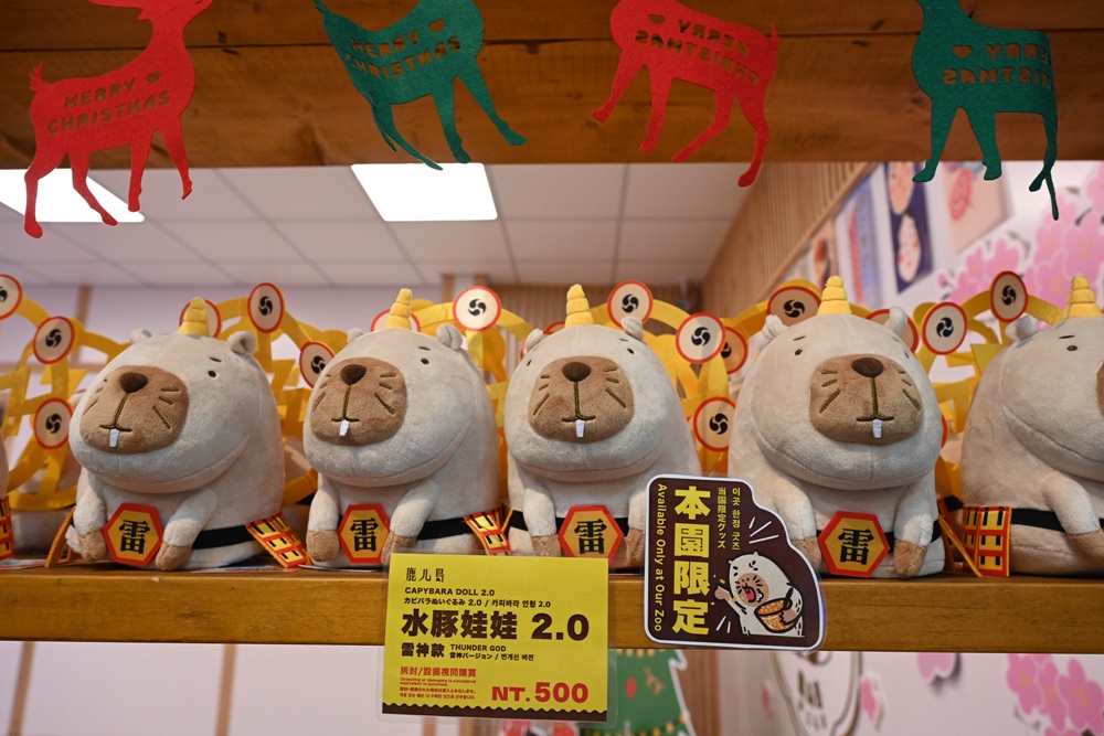 墾丁景點推薦。鹿ㄦ島水豚生態園區 日本雷門(豚門)、和水豚君一起游泳、2026門票資訊! 墾丁景點推薦。鹿ㄦ島水豚生態園區 日本雷門(豚門)、和水豚君一起游泳、2026門票資訊!