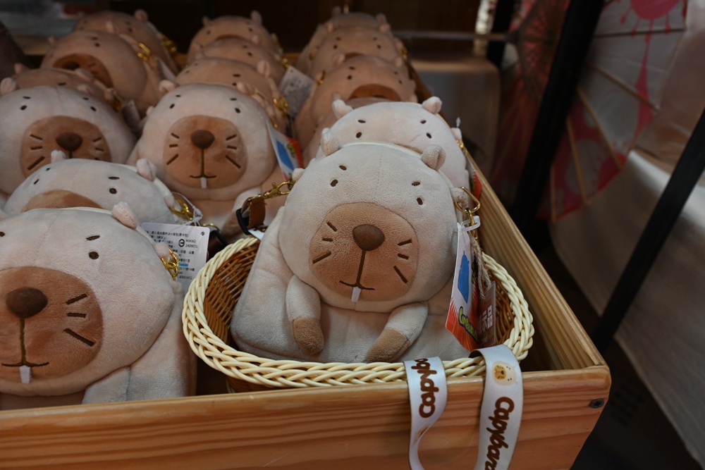 墾丁景點推薦。鹿ㄦ島水豚生態園區 日本雷門(豚門)、和水豚君一起游泳、2026門票資訊! 墾丁景點推薦。鹿ㄦ島水豚生態園區 日本雷門(豚門)、和水豚君一起游泳、2026門票資訊!