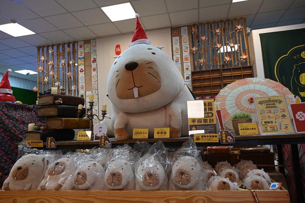 墾丁景點推薦。鹿ㄦ島水豚生態園區 日本雷門(豚門)、和水豚君一起游泳、2026門票資訊! 墾丁景點推薦。鹿ㄦ島水豚生態園區 日本雷門(豚門)、和水豚君一起游泳、2026門票資訊!