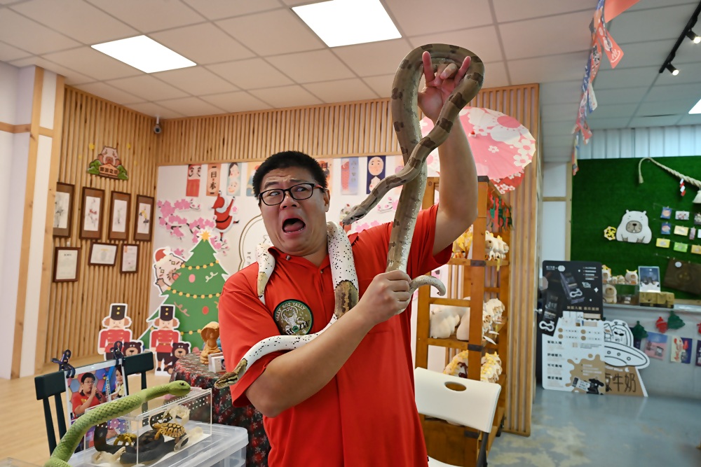 墾丁景點推薦。鹿ㄦ島水豚生態園區 日本雷門(豚門)、和水豚君一起游泳、2026門票資訊! 墾丁景點推薦。鹿ㄦ島水豚生態園區 日本雷門(豚門)、和水豚君一起游泳、2026門票資訊!