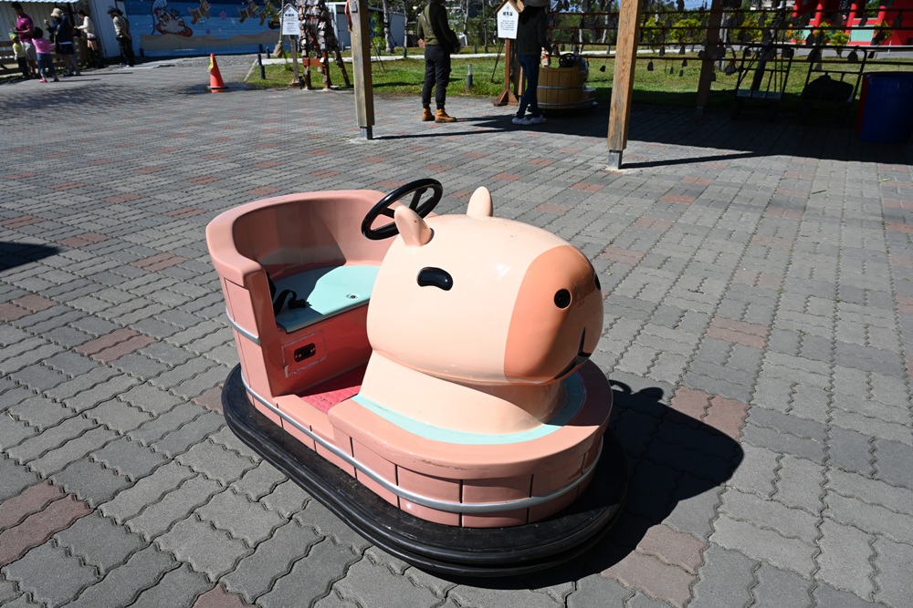 墾丁景點推薦。鹿ㄦ島水豚生態園區 日本雷門(豚門)、和水豚君一起游泳、2026門票資訊! 墾丁景點推薦。鹿ㄦ島水豚生態園區 日本雷門(豚門)、和水豚君一起游泳、2026門票資訊!