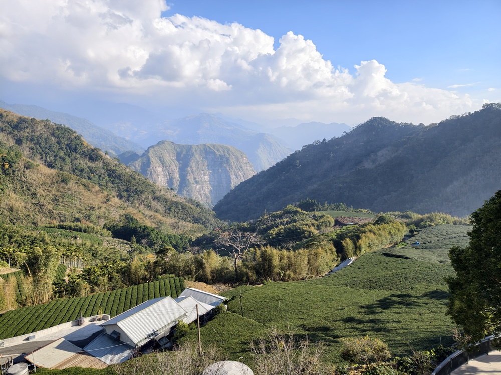 阿里山住宿推薦。璦勒芬莊園民宿| Ailefen Manor Guesthouse 一泊二食、無邊際泳池、阿里山日出！