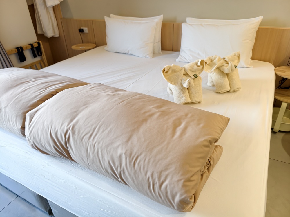 阿里山住宿推薦。璦勒芬莊園民宿| Ailefen Manor Guesthouse 一泊二食、無邊際泳池、阿里山日出！