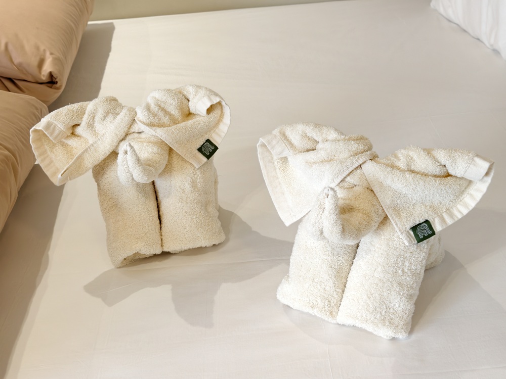 阿里山住宿推薦。璦勒芬莊園民宿| Ailefen Manor Guesthouse 一泊二食、無邊際泳池、阿里山日出！