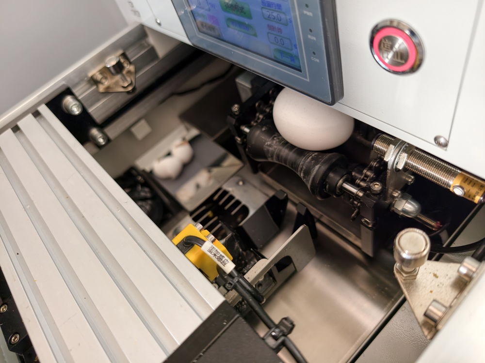 阿里山住宿推薦。璦勒芬莊園民宿| Ailefen Manor Guesthouse 一泊二食、無邊際泳池、阿里山日出！