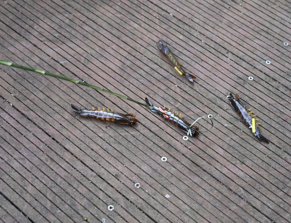 屏東霧台祕境。漫遊霧台 神山瀑布 一日巡護監測體驗、山棕葉釣蝦 部落古早智慧！