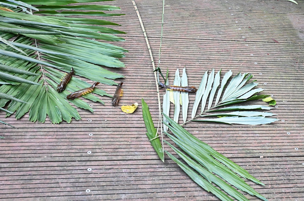 屏東霧台祕境。漫遊霧台 神山瀑布 一日巡護監測體驗、山棕葉釣蝦 部落古早智慧！