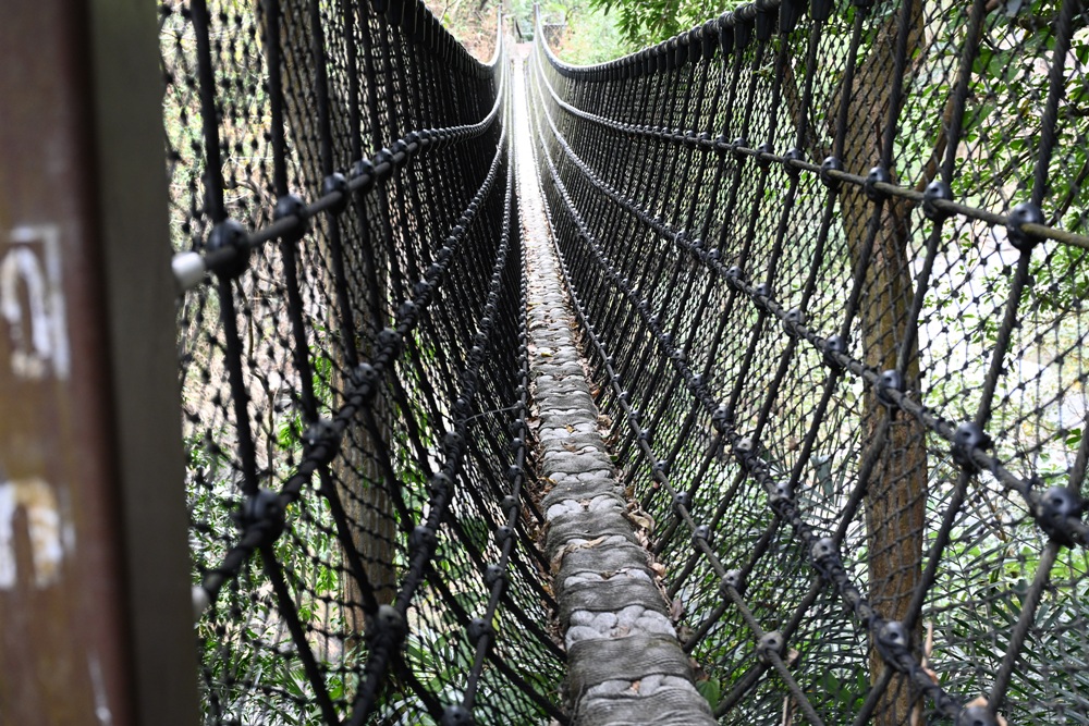 屏東霧台祕境。漫遊霧台 神山瀑布 一日巡護監測體驗、山棕葉釣蝦 部落古早智慧！