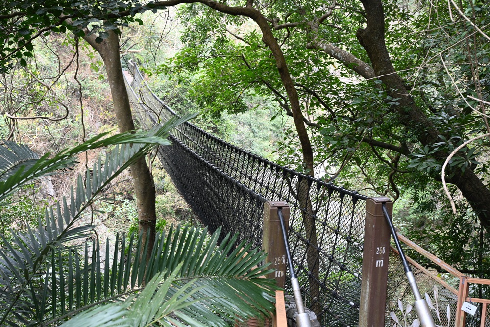 屏東霧台祕境。漫遊霧台 神山瀑布 一日巡護監測體驗、山棕葉釣蝦 部落古早智慧！