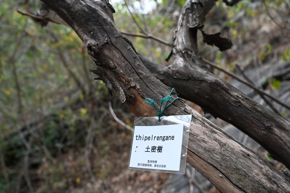屏東霧台祕境。漫遊霧台 神山瀑布 一日巡護監測體驗、山棕葉釣蝦 部落古早智慧！
