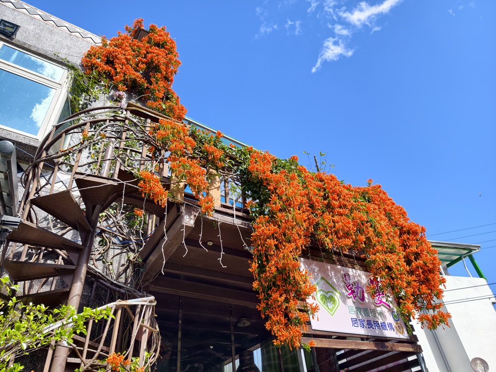 屏東霧臺二日遊｜2026赤馬迎春漫遊霧臺 魯凱族部落走讀、花巷道賞櫻、神山瀑布、禮納里住宿深度體驗！