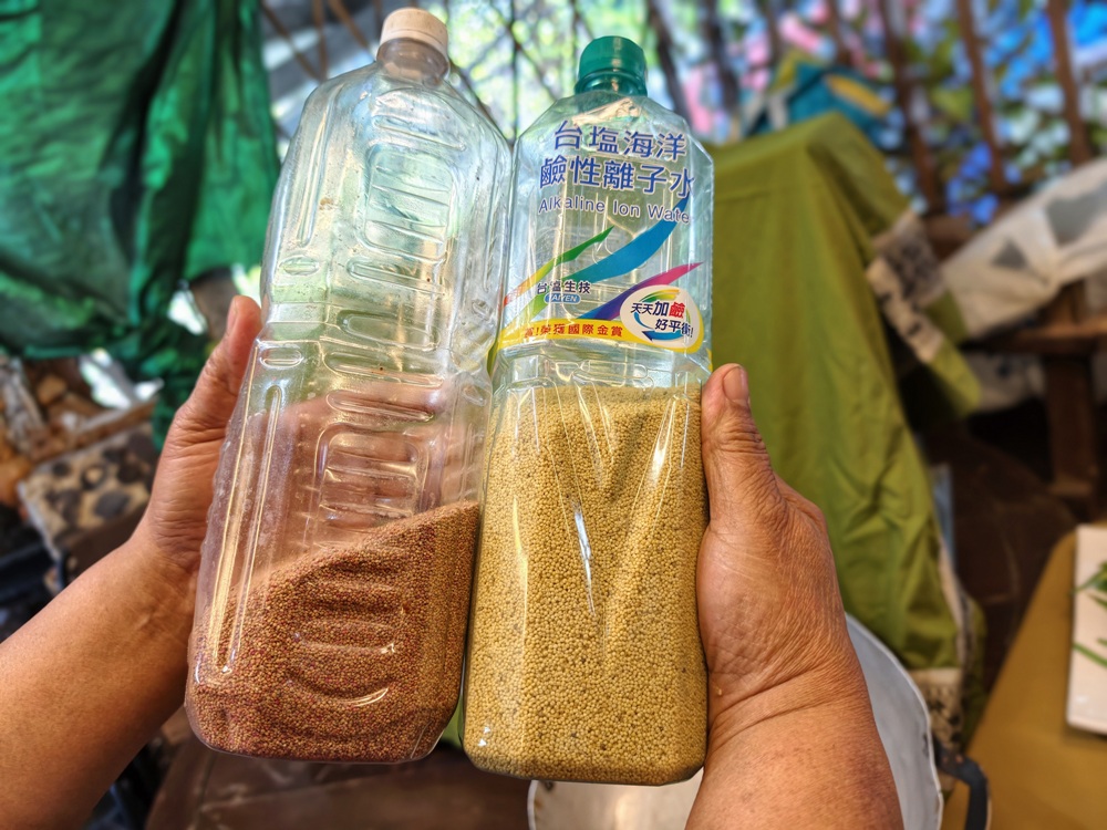 屏東霧臺二日遊｜2026赤馬迎春漫遊霧臺 魯凱族部落走讀、花巷道賞櫻、神山瀑布、禮納里住宿深度體驗！