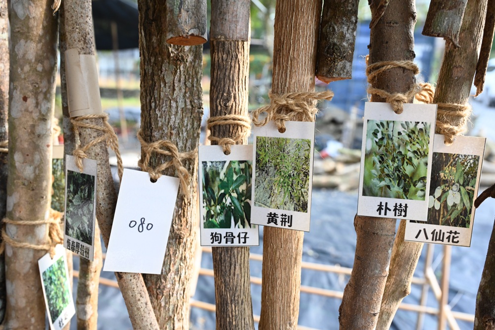 屏東霧臺二日遊｜2026赤馬迎春漫遊霧臺 魯凱族部落走讀、花巷道賞櫻、神山瀑布、禮納里住宿深度體驗！