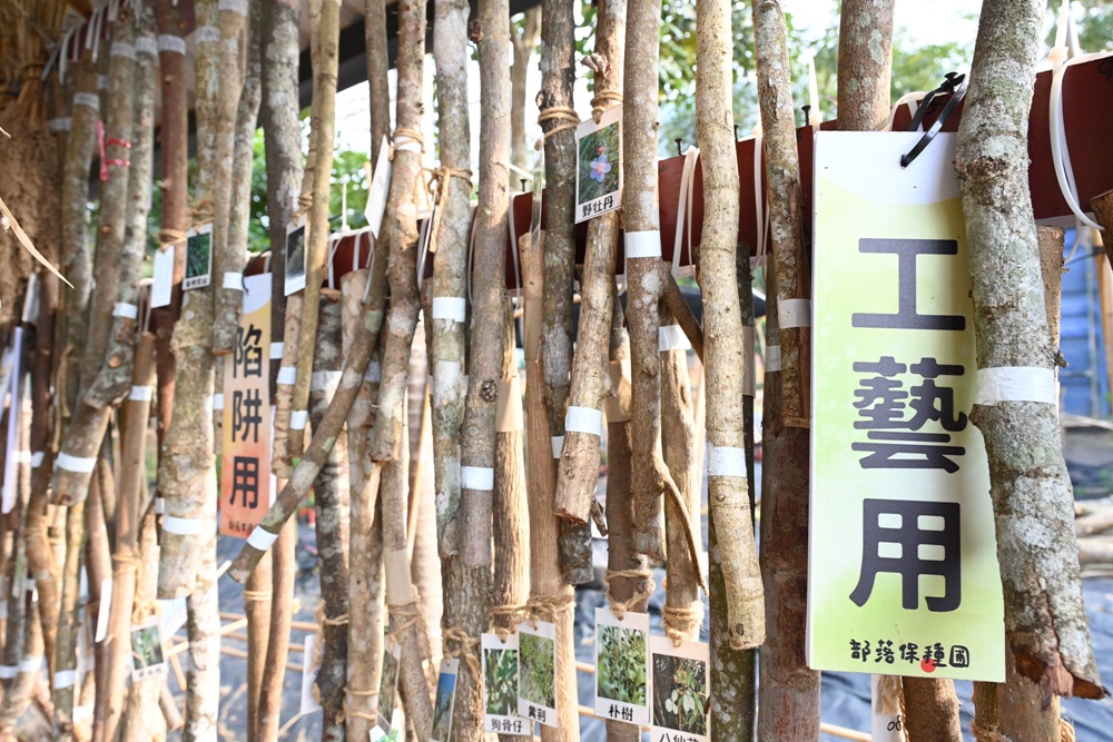 屏東霧臺二日遊｜2026赤馬迎春漫遊霧臺 魯凱族部落走讀、花巷道賞櫻、神山瀑布、禮納里住宿深度體驗！