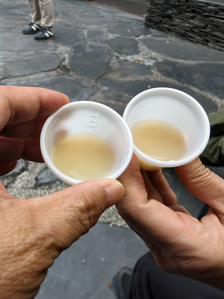 屏東霧臺二日遊｜2026赤馬迎春漫遊霧臺 魯凱族部落走讀、花巷道賞櫻、神山瀑布、禮納里住宿深度體驗！