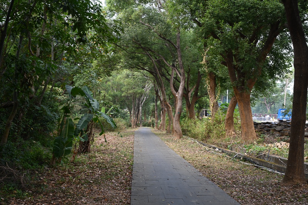 屏東霧臺二日遊｜2026赤馬迎春漫遊霧臺 魯凱族部落走讀、花巷道賞櫻、神山瀑布、禮納里住宿深度體驗！