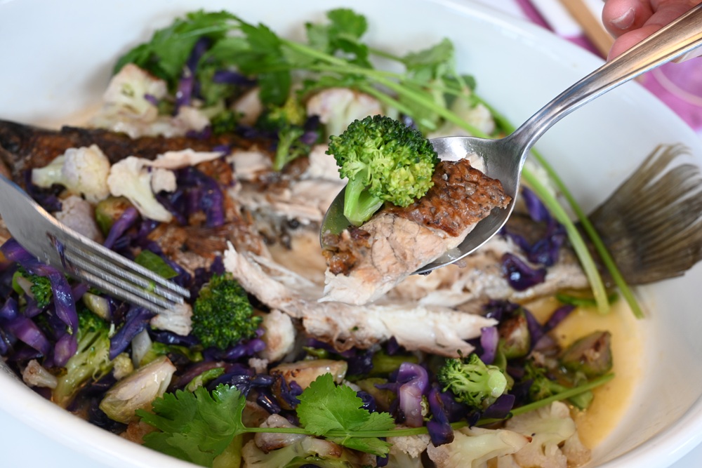 屏東霧臺二日遊｜2026赤馬迎春漫遊霧臺 魯凱族部落走讀、花巷道賞櫻、神山瀑布、禮納里住宿深度體驗！