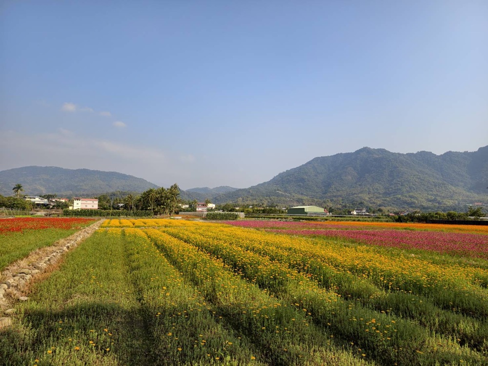 東高雄一日遊。2026「高雄山城奇幻生物祭」熱鬧登場！寶來、甲仙、杉林、美濃、旗山、內門 六大山城守護獸現身，抓寶打卡拿樂福龍公仔！