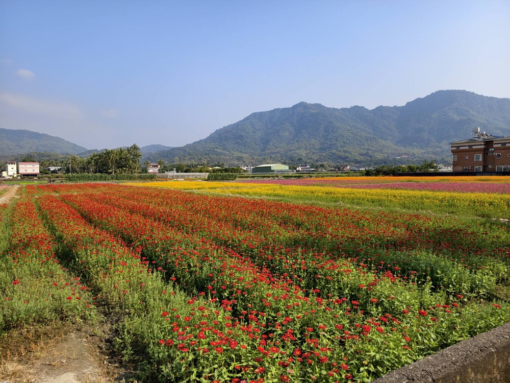 東高雄一日遊。2026「高雄山城奇幻生物祭」熱鬧登場！寶來、甲仙、杉林、美濃、旗山、內門 六大山城守護獸現身，抓寶打卡拿樂福龍公仔！
