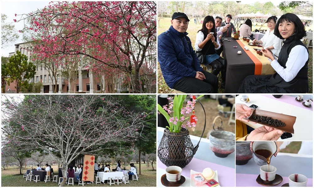 南投一日遊。暨大櫻花季 結合櫻花、茶道、音樂 交織一場感官饗宴! 南投一日遊。暨大櫻花季 結合櫻花、茶道、音樂 交織一場感官饗宴!