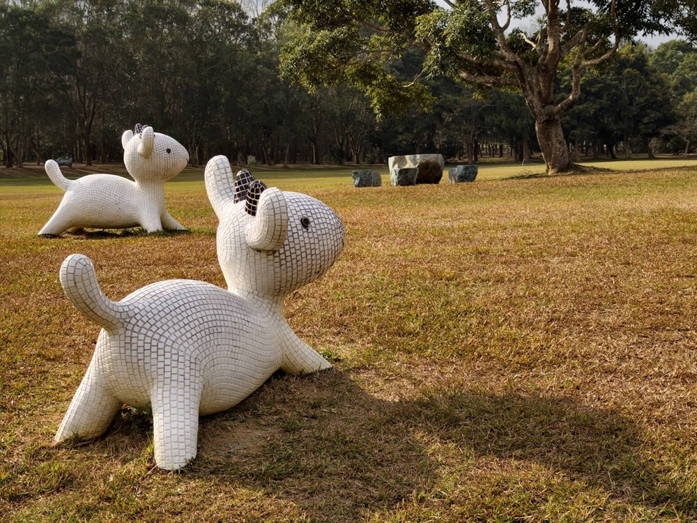 南投一日遊。暨大櫻花季 結合櫻花、茶道、音樂 交織一場感官饗宴! 南投一日遊。暨大櫻花季 結合櫻花、茶道、音樂 交織一場感官饗宴!
